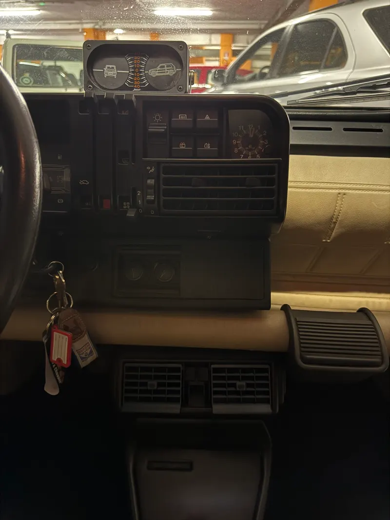 Fiat MERAVIGLIOSA PANDA 4X4 SISLEY ARIA CONDIZIONATA 74