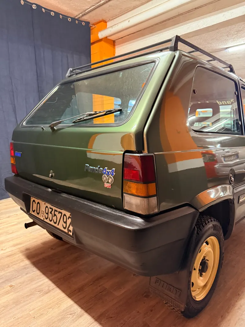Fiat MERAVIGLIOSA PANDA 4X4 SISLEY ARIA CONDIZIONATA 19