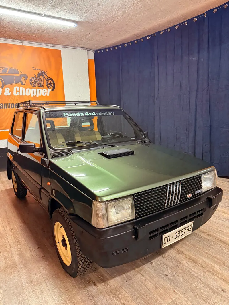 Fiat MERAVIGLIOSA PANDA 4X4 SISLEY ARIA CONDIZIONATA 2