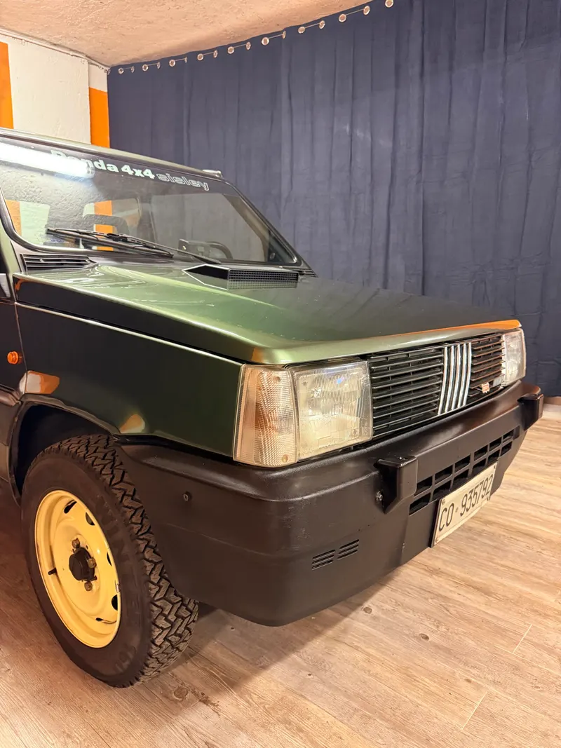 Fiat MERAVIGLIOSA PANDA 4X4 SISLEY ARIA CONDIZIONATA 3