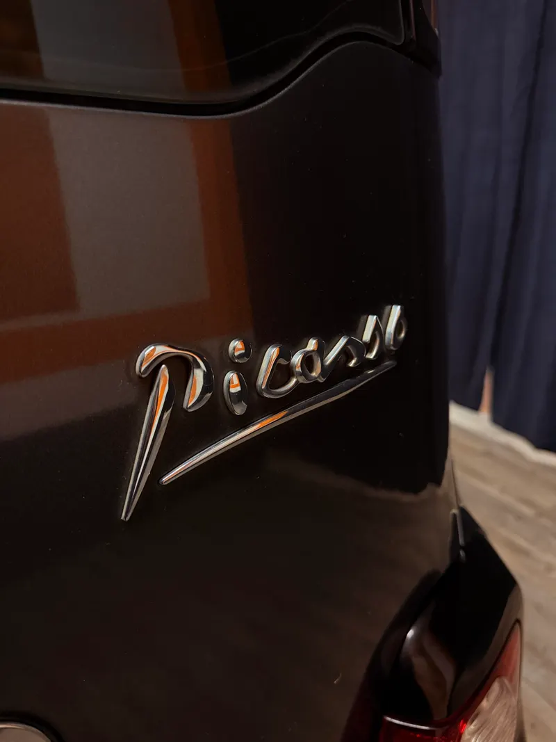 Citroën C3 PICASSO ADATTA A NEOPATENTATI 66