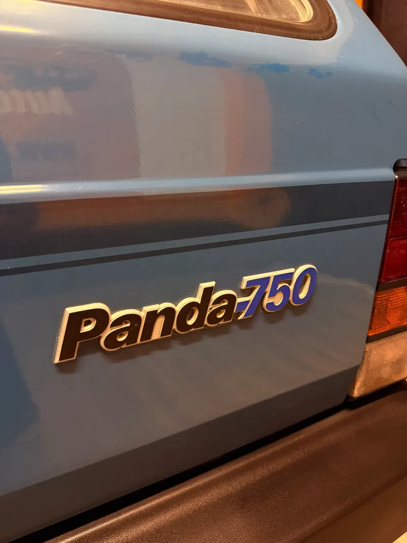Fiat PANDA YOUNG 750, UNICO PROPRIETARIO CON SOLI 39.864 KM ADATTA A 20