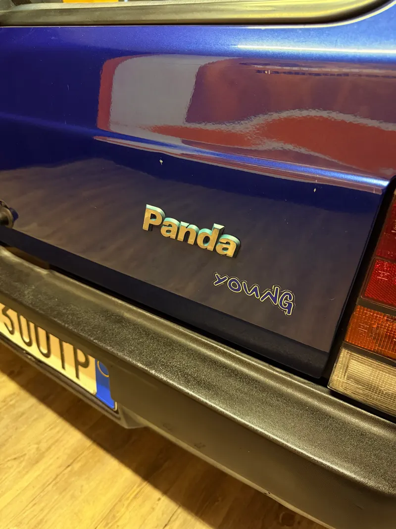Fiat PANDA ADATTA A NEOPATENTATI 22
