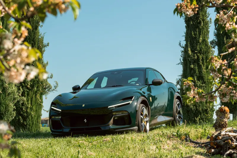 Ferrari PUROSANGUE 7