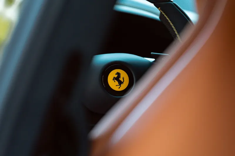 Ferrari PUROSANGUE 10