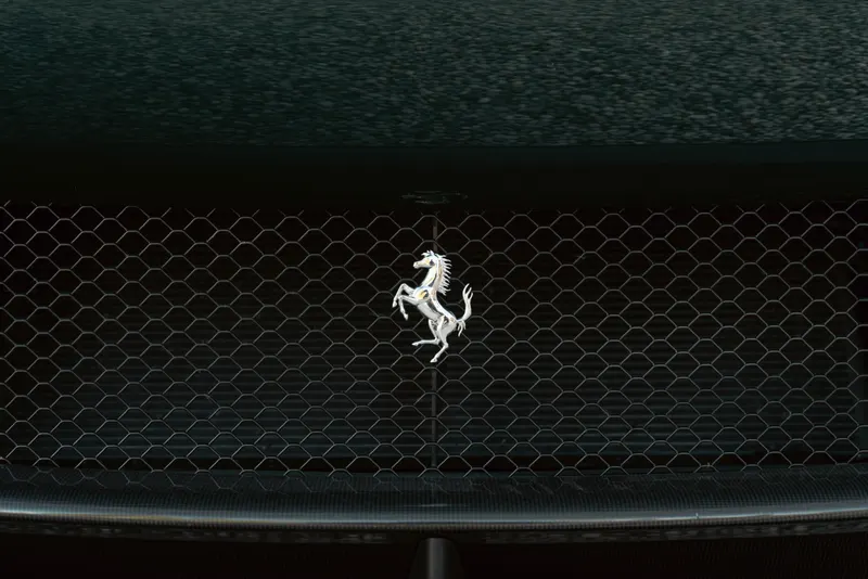 Ferrari PUROSANGUE 15