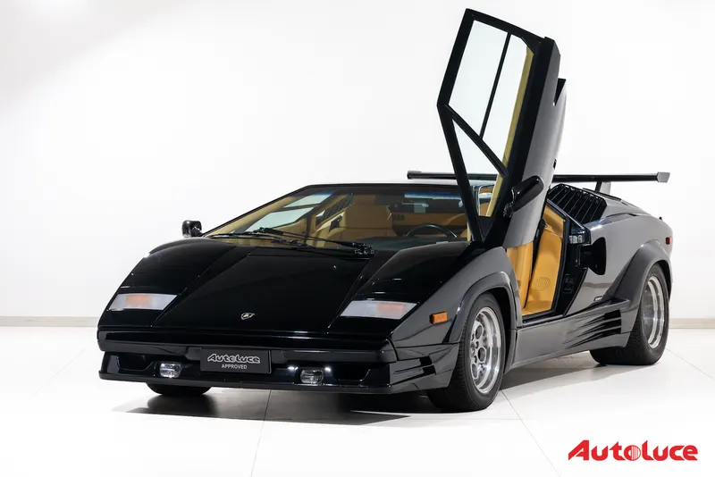 Lamborghini COUNTACH 25TH ANNIVERSARY 9
