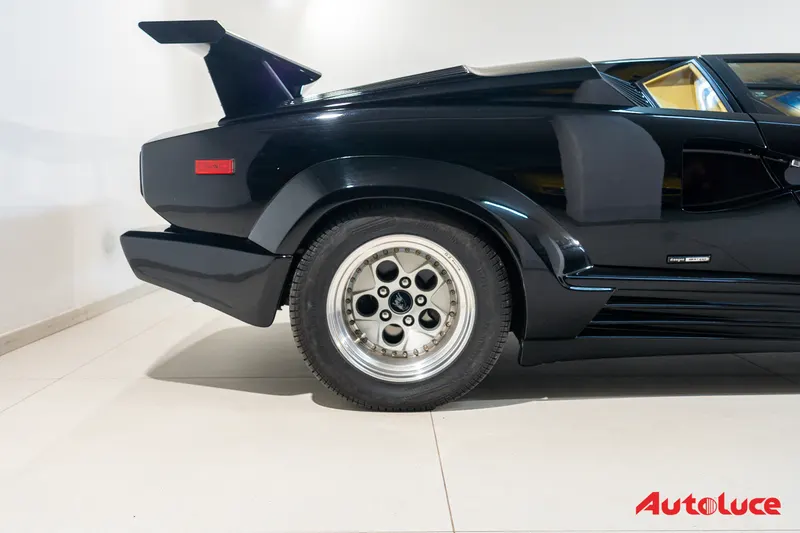 Lamborghini COUNTACH 25TH ANNIVERSARY 28