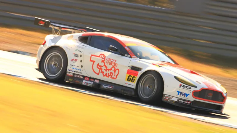 Aston Martin V8 VANTAGE GT2 25