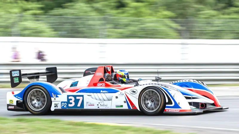 LMP 2008 13