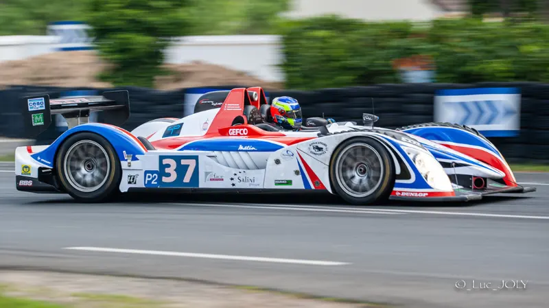 LMP 2008 11