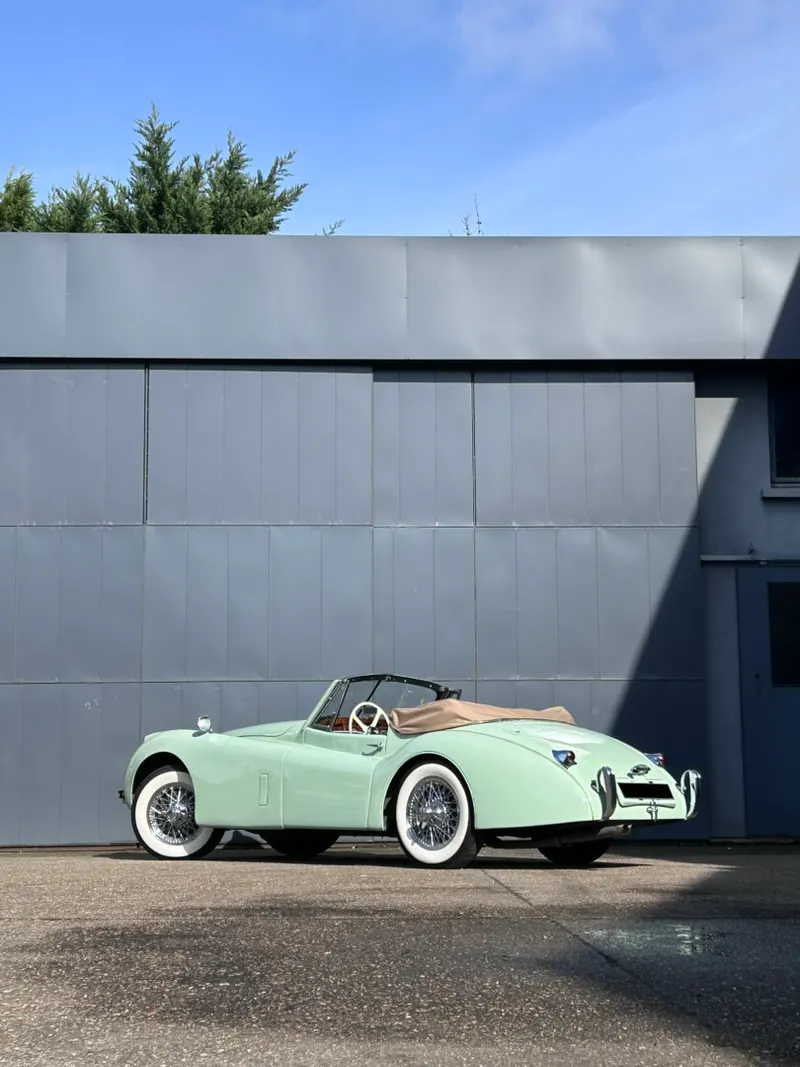 Jaguar XK120 Cab. 11