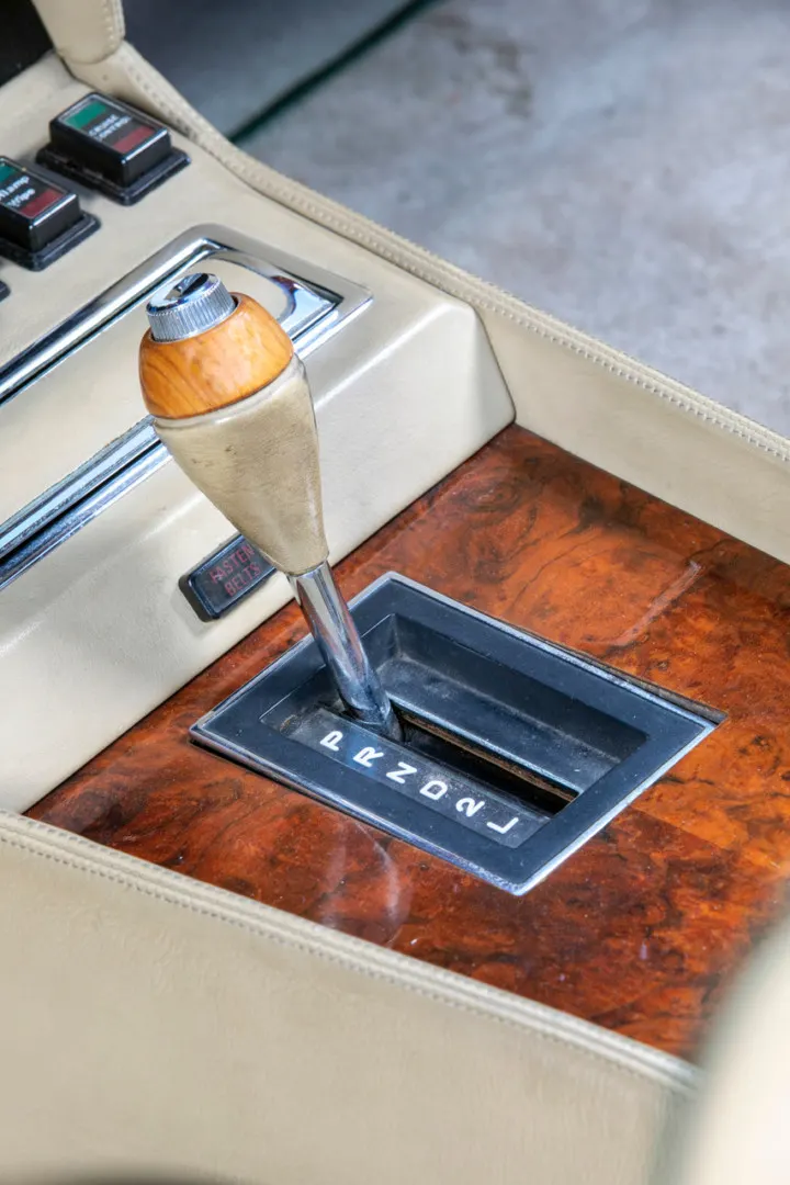 Aston Martin AM V8 série 1 19