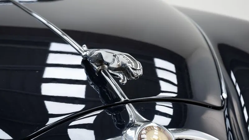 Jaguar MKII 13