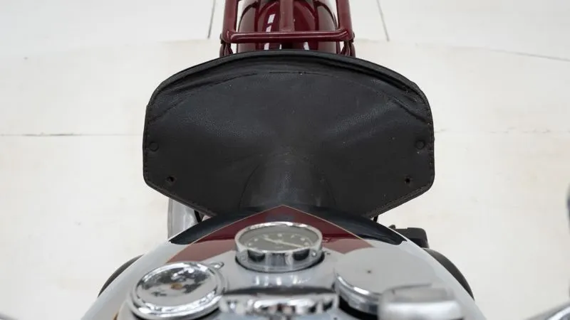500 cc 19