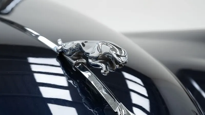 Jaguar XK 140 DHC 15