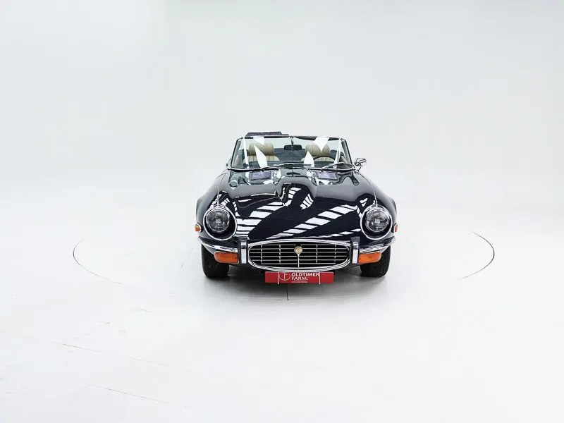 Jaguar E-Type Series 3 V12 6