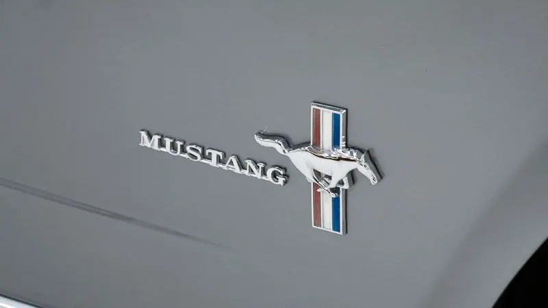 Ford Mustang Cabrio V8 14