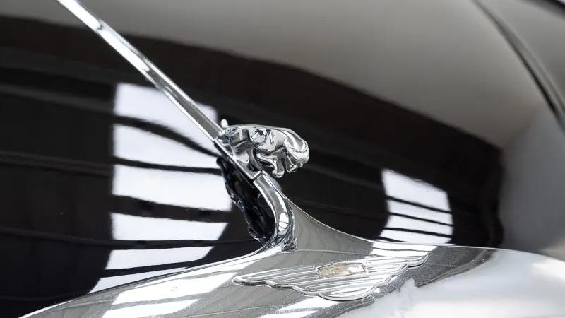 Jaguar 420 G 18