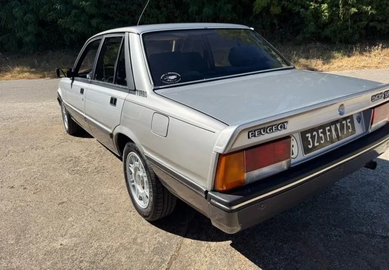 Peugeot 505 10