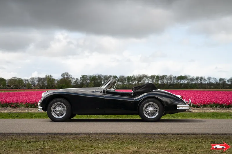 Jaguar XK140 Drophead Coupe black-tan 7