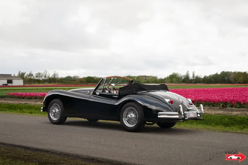 Jaguar XK140 Drophead Coupe black-tan 2