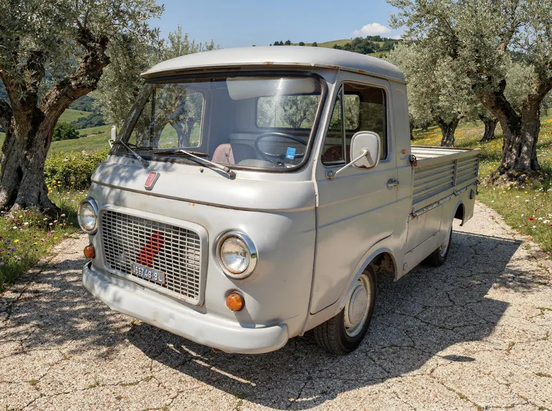 Fiat 241 con cassone del 1975 1