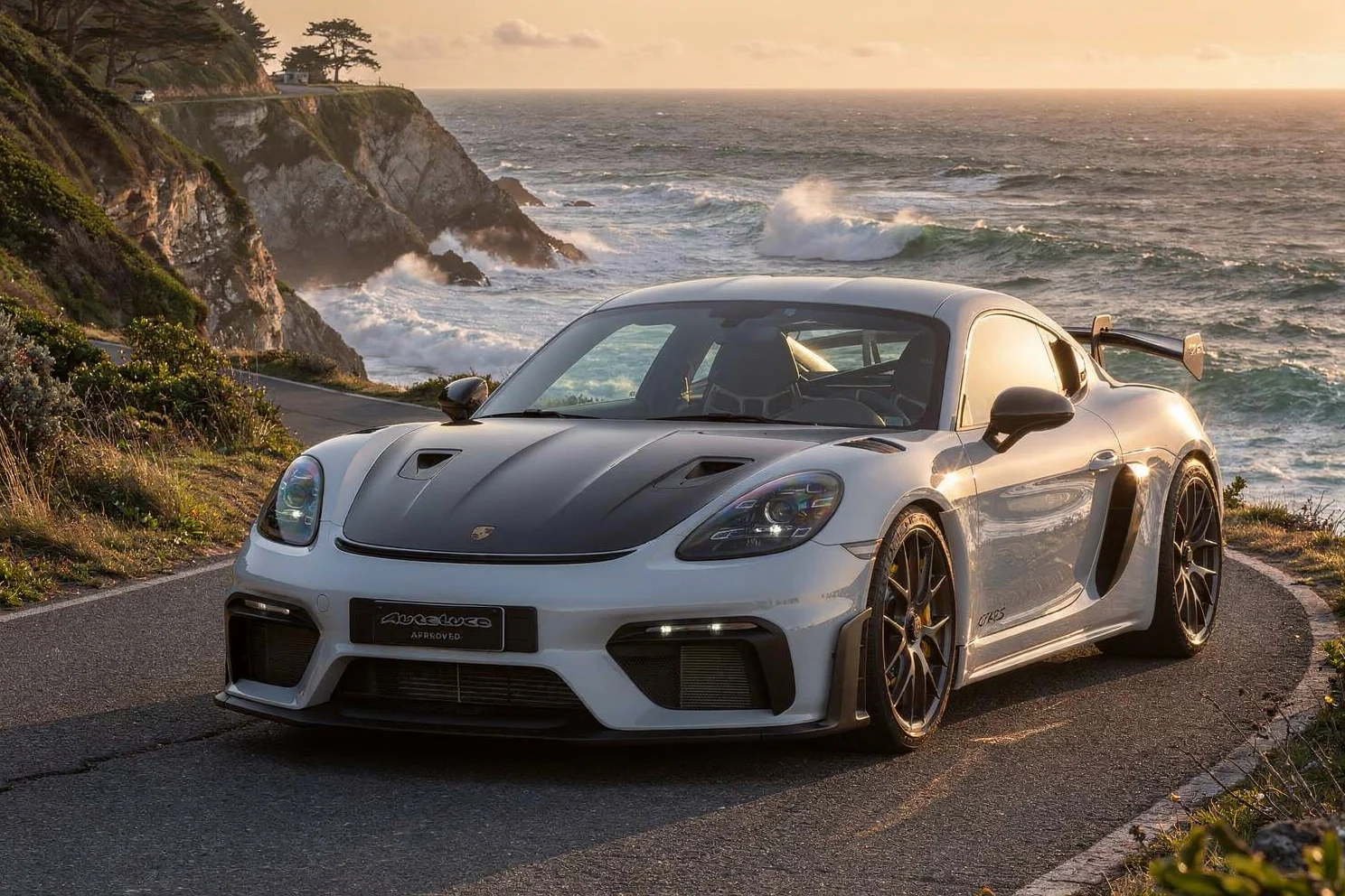 Porsche 718 CAYMAN GT4 RS WEISSACH