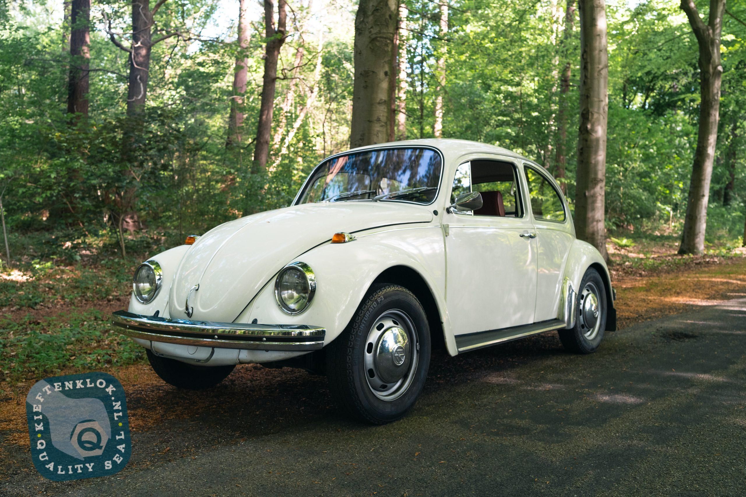 Volkswagen Kever (Beetle) 10