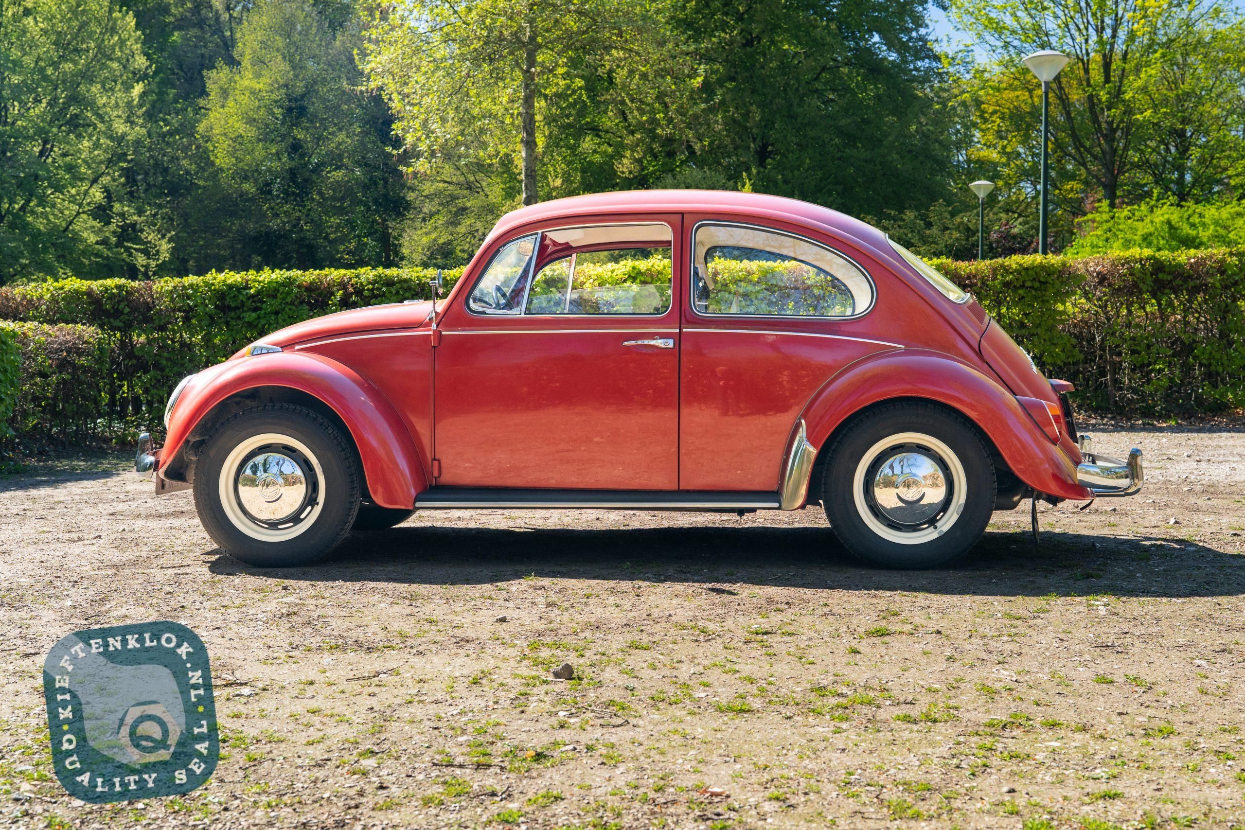 Volkswagen Kever (Beetle) 3