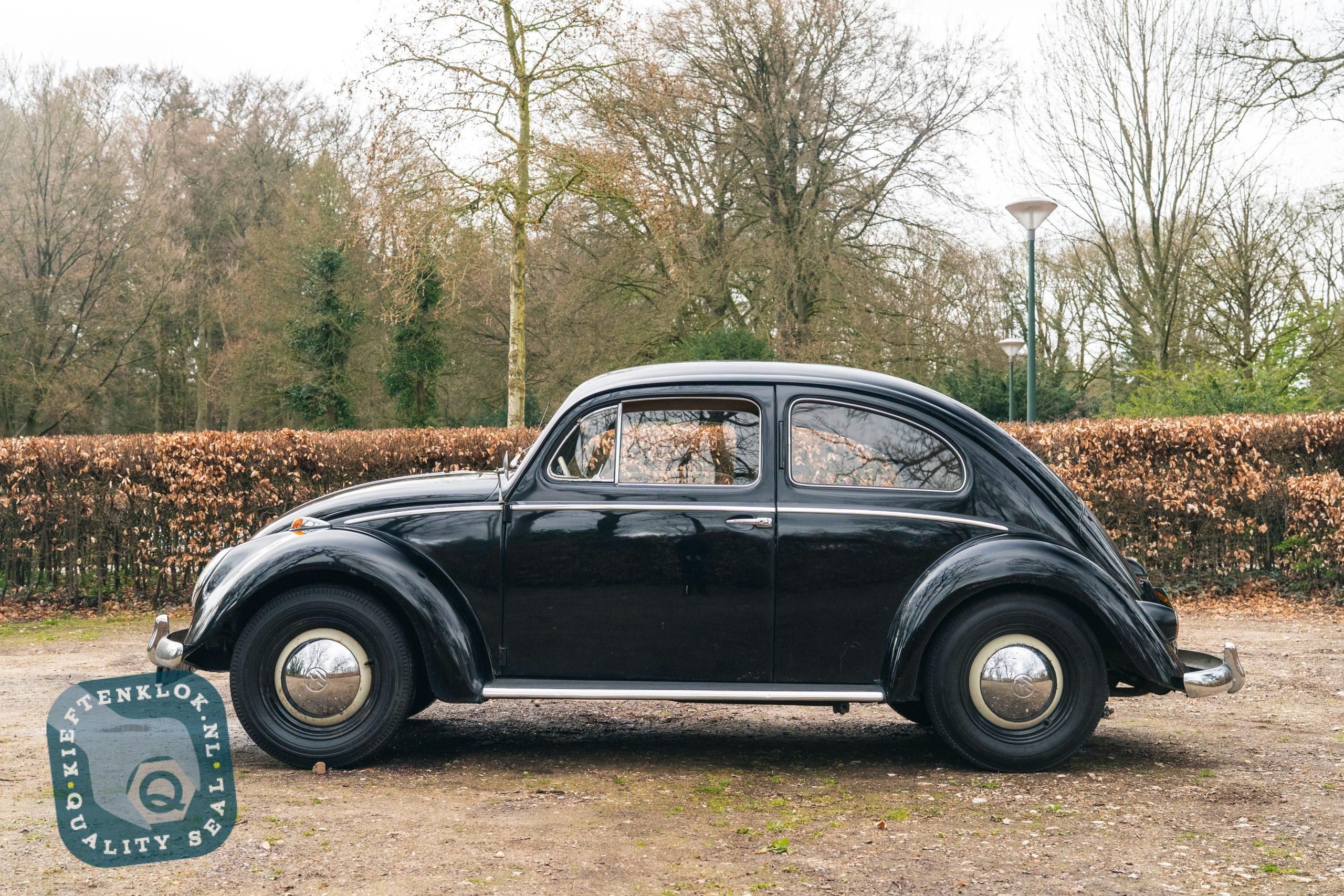 Volkswagen Kever (Beetle) 8