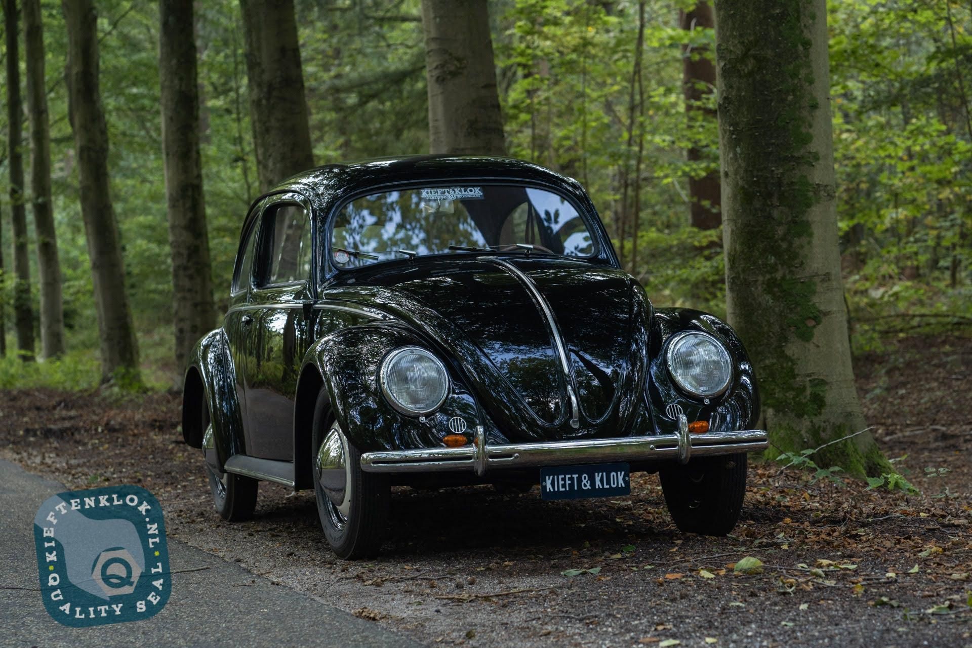 Volkswagen Kever (Beetle) 7