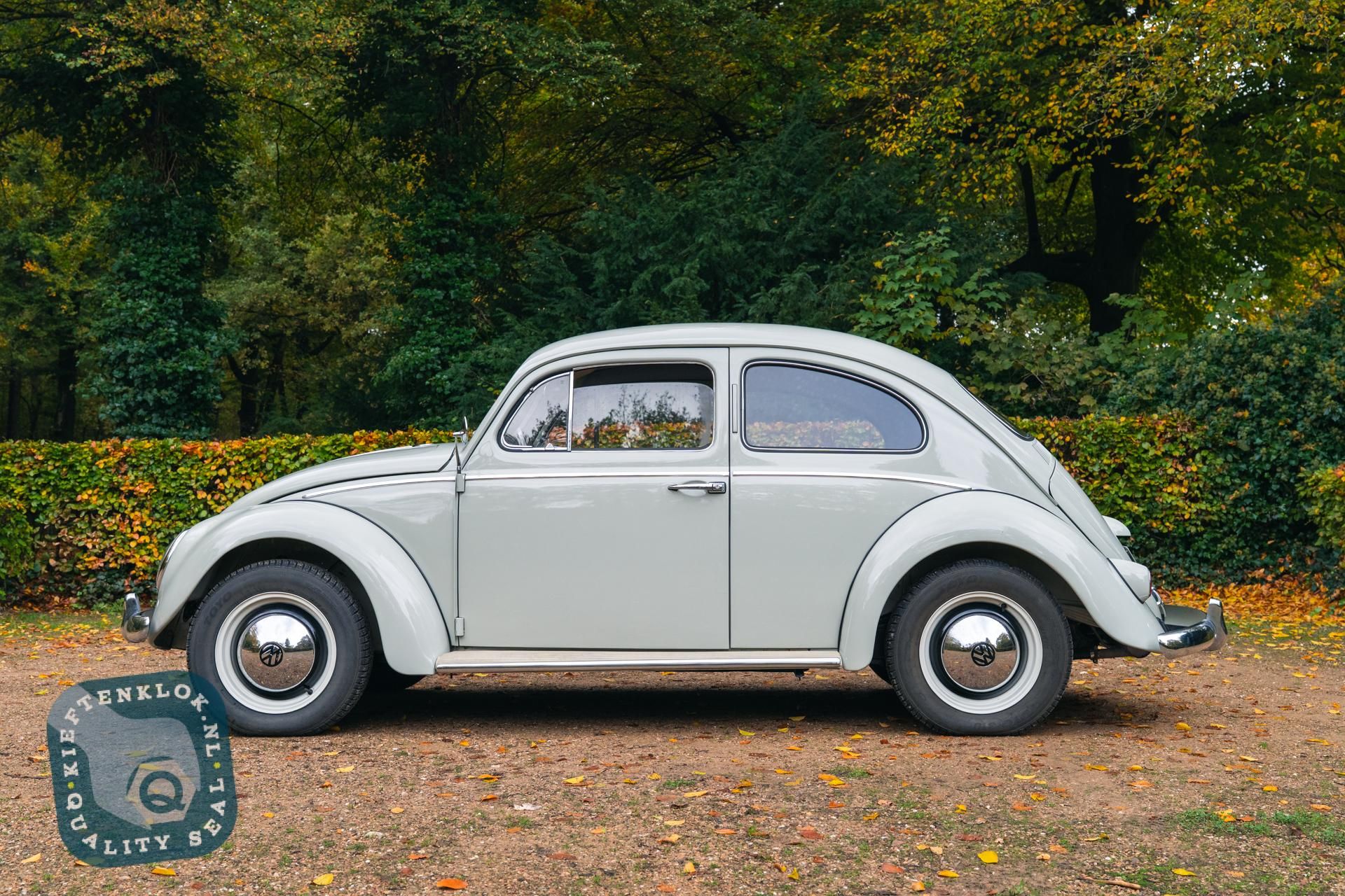 Volkswagen Kever (Beetle) 2