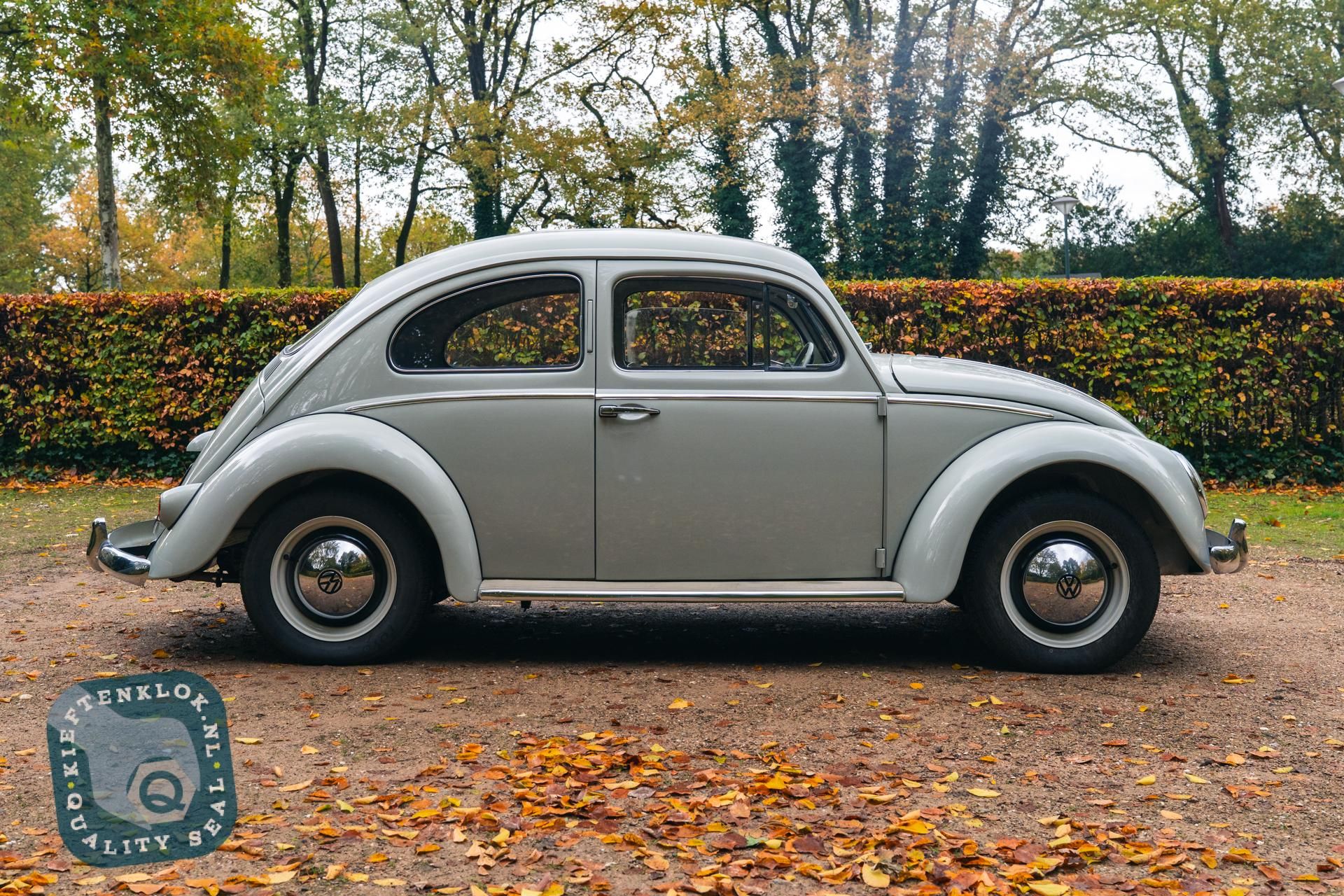 Volkswagen Kever (Beetle) 3