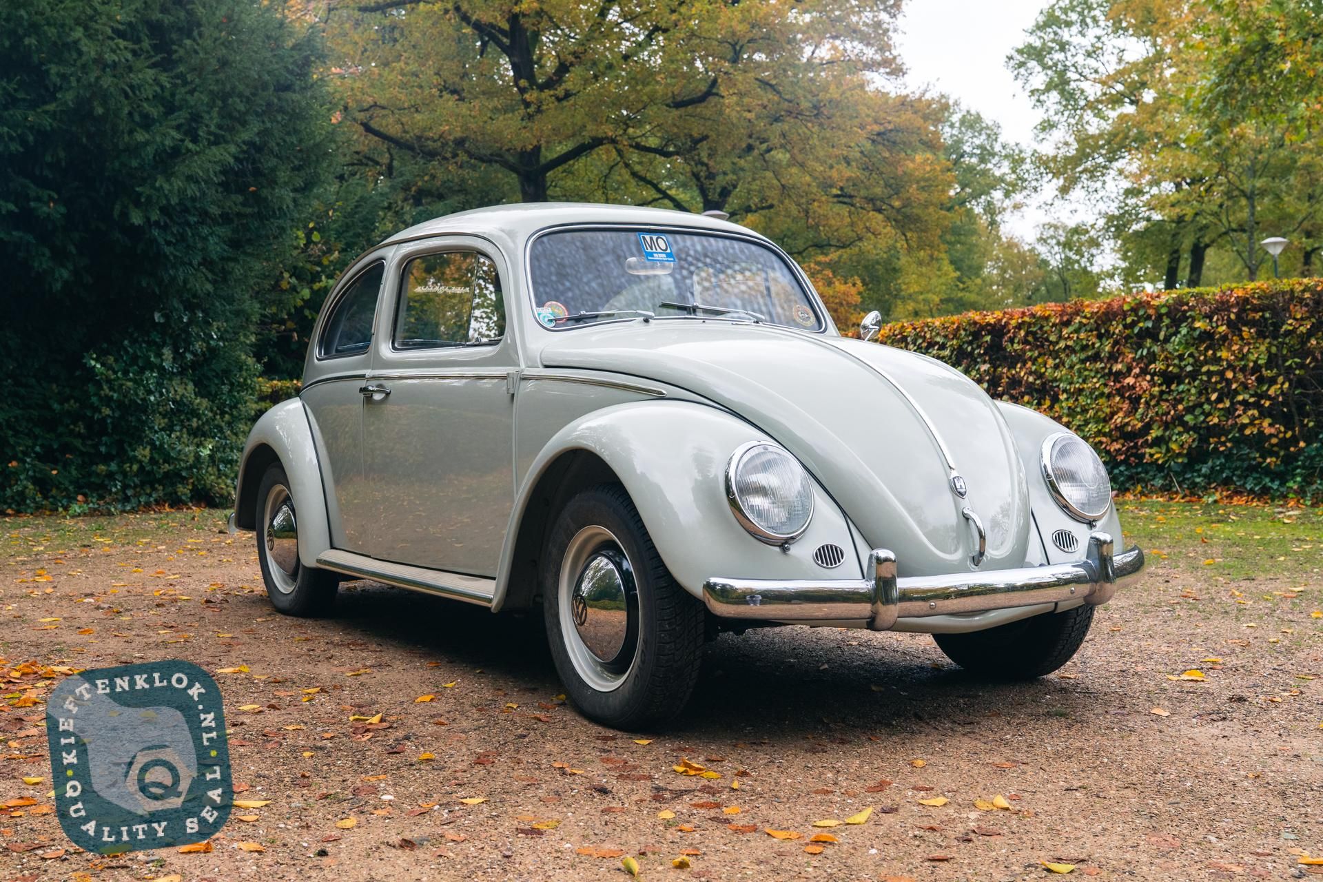 Volkswagen Kever (Beetle) 4