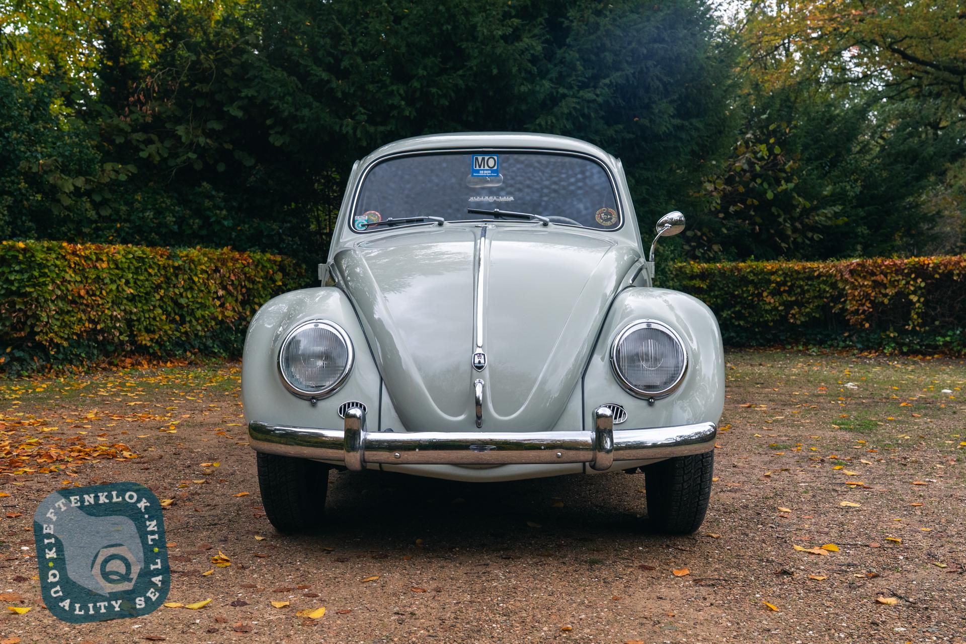 Volkswagen Kever (Beetle) 5