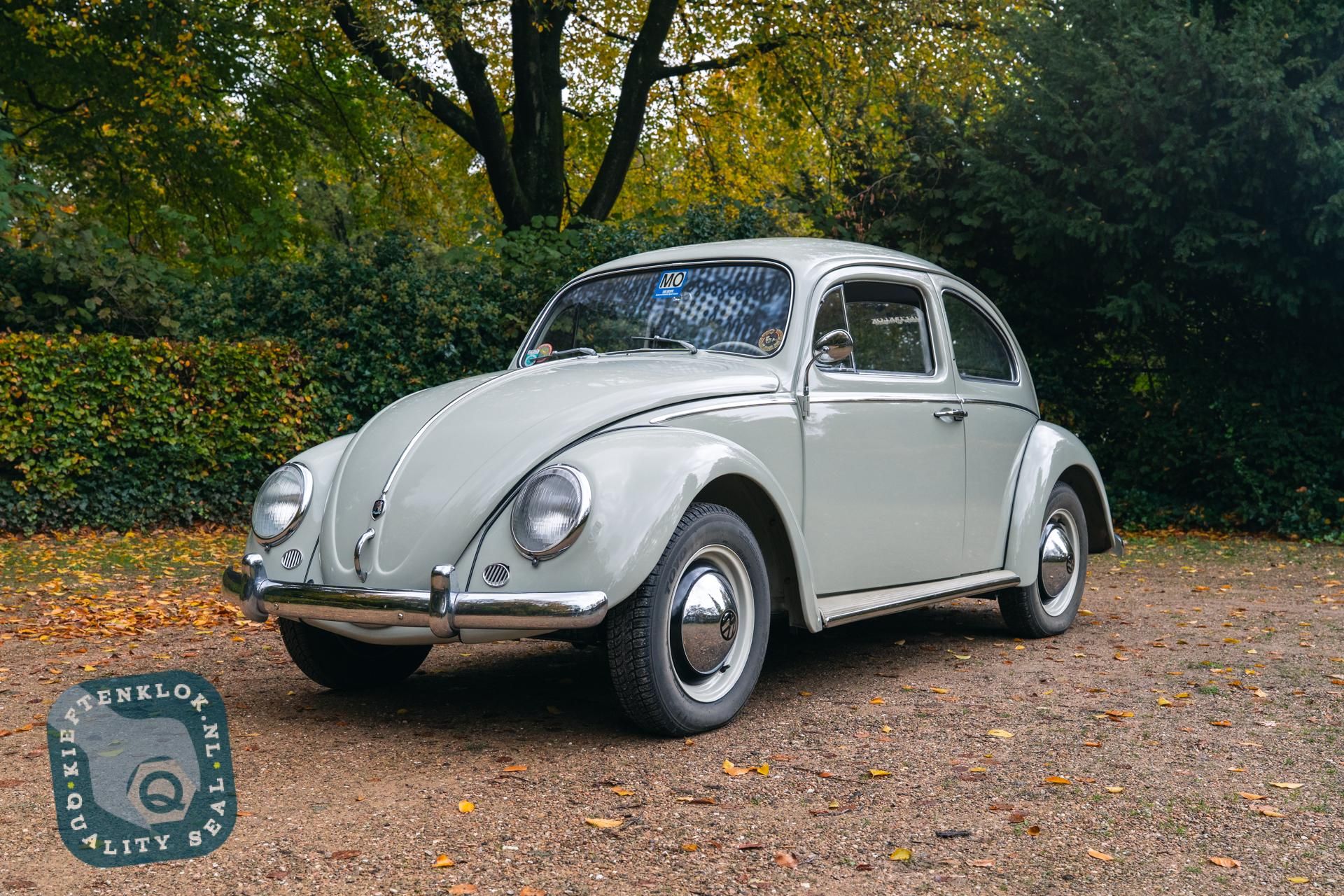 Volkswagen Kever (Beetle) 6