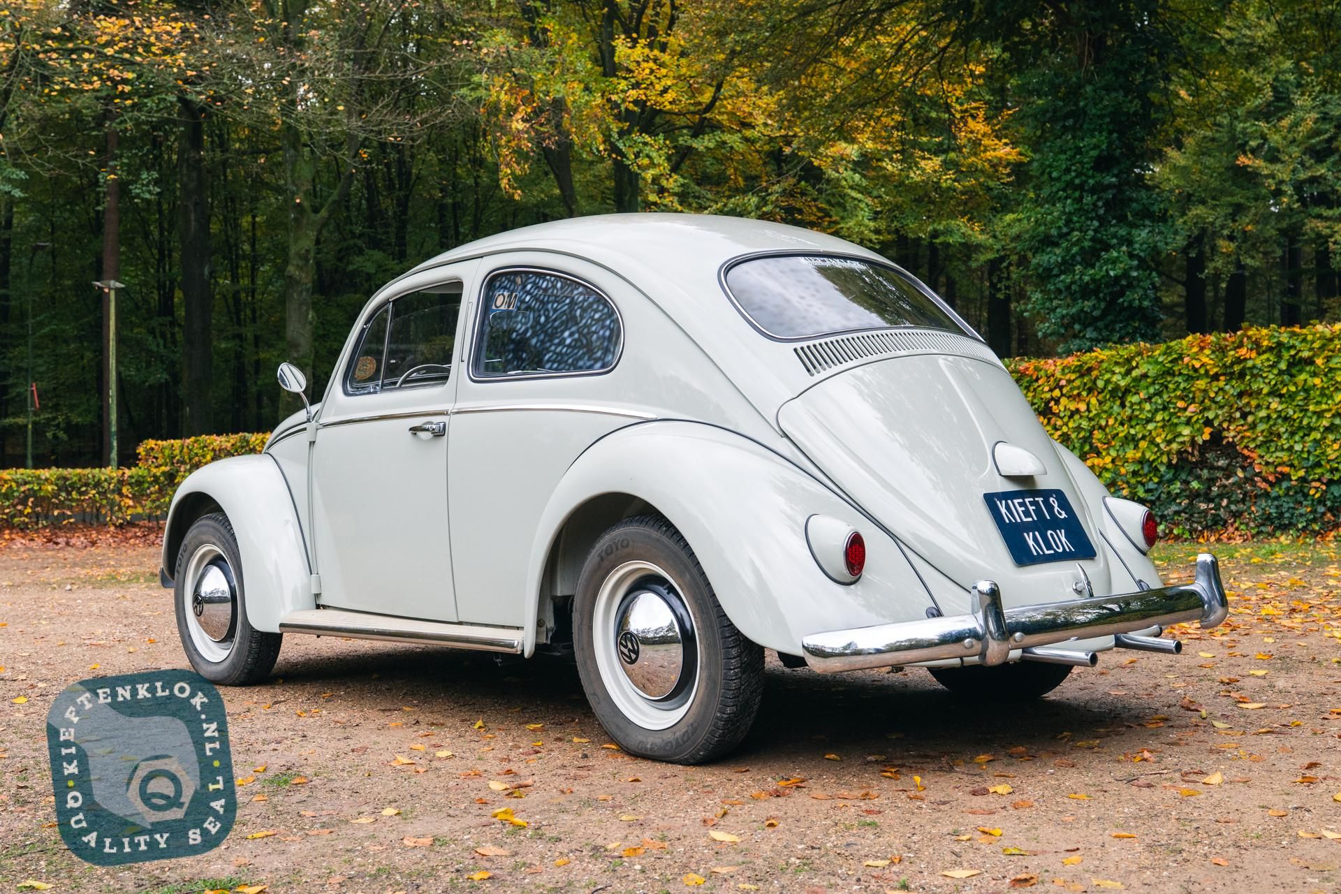 Volkswagen Kever (Beetle) 7