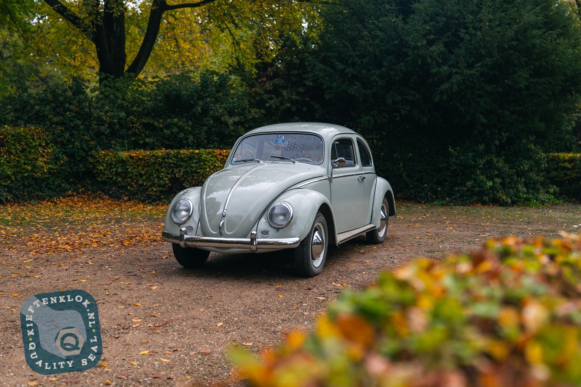 Volkswagen Kever (Beetle) 10