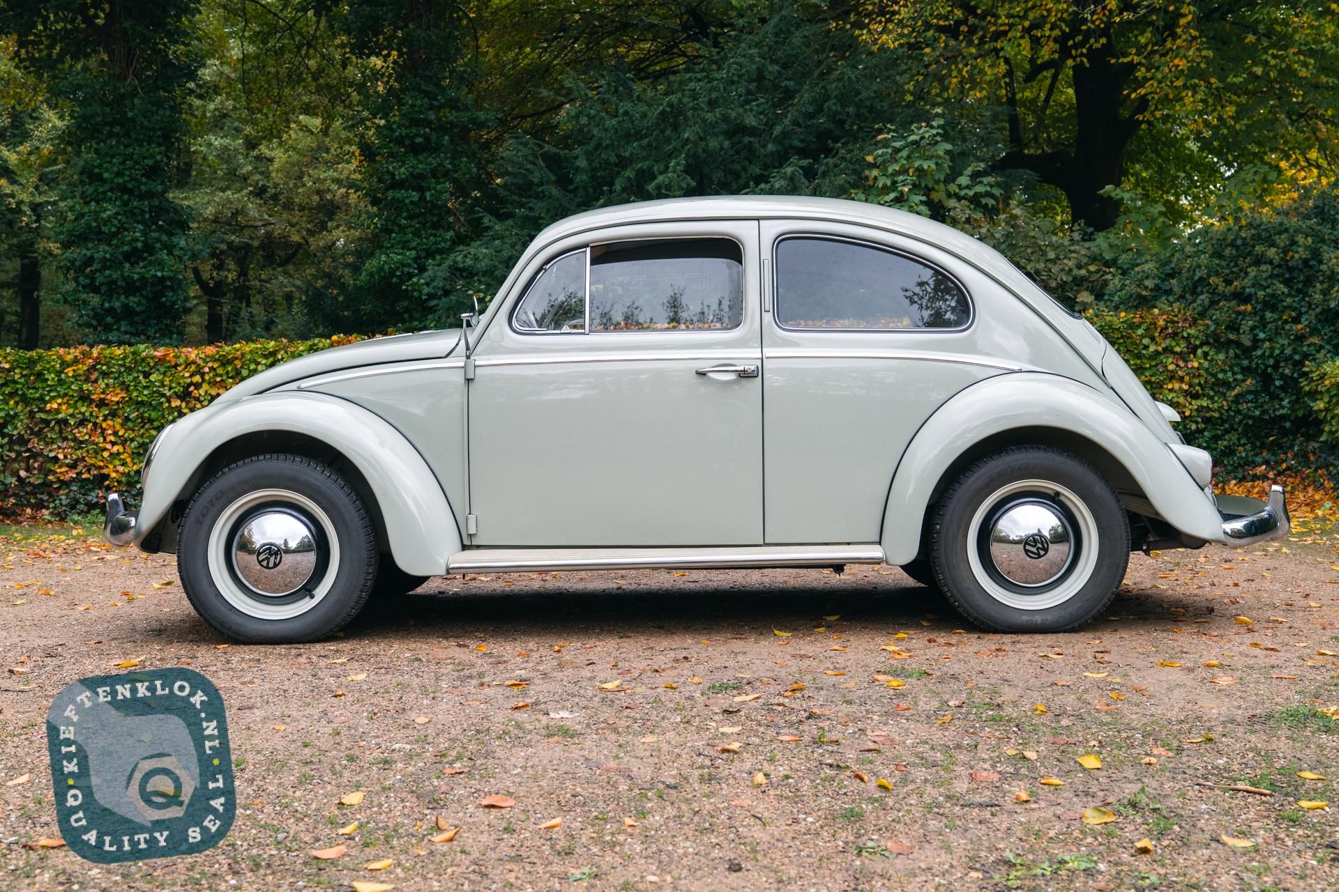 Volkswagen Kever (Beetle) 11
