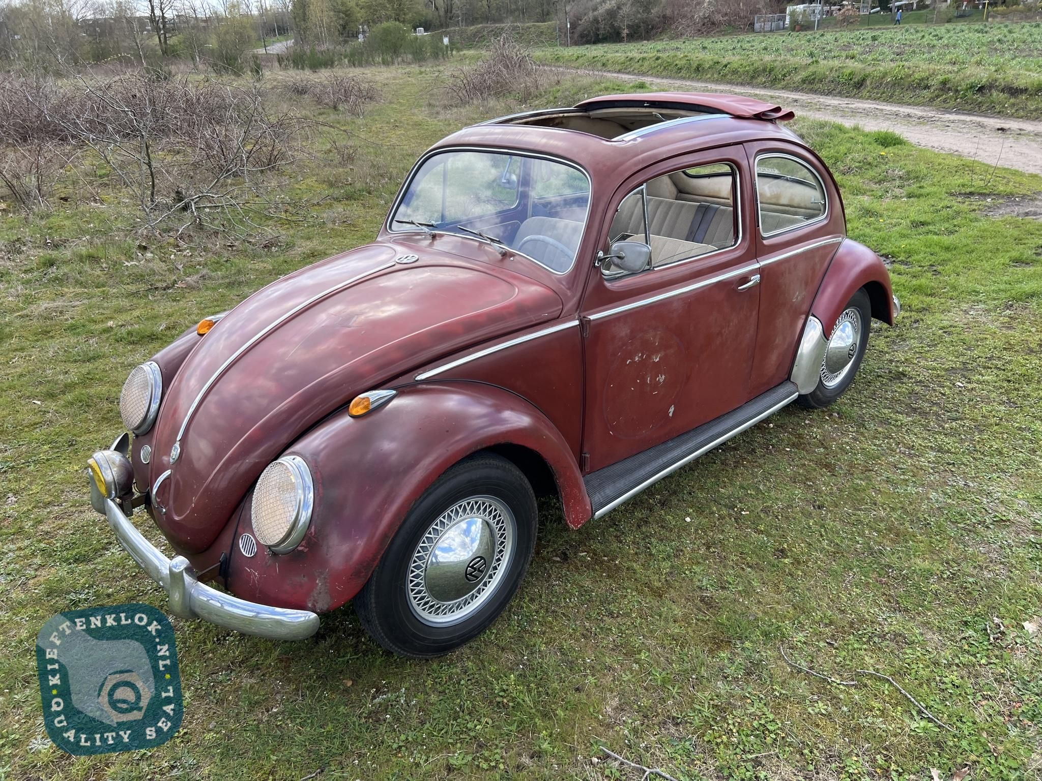 Volkswagen Kever (Beetle) Vouwdak 3
