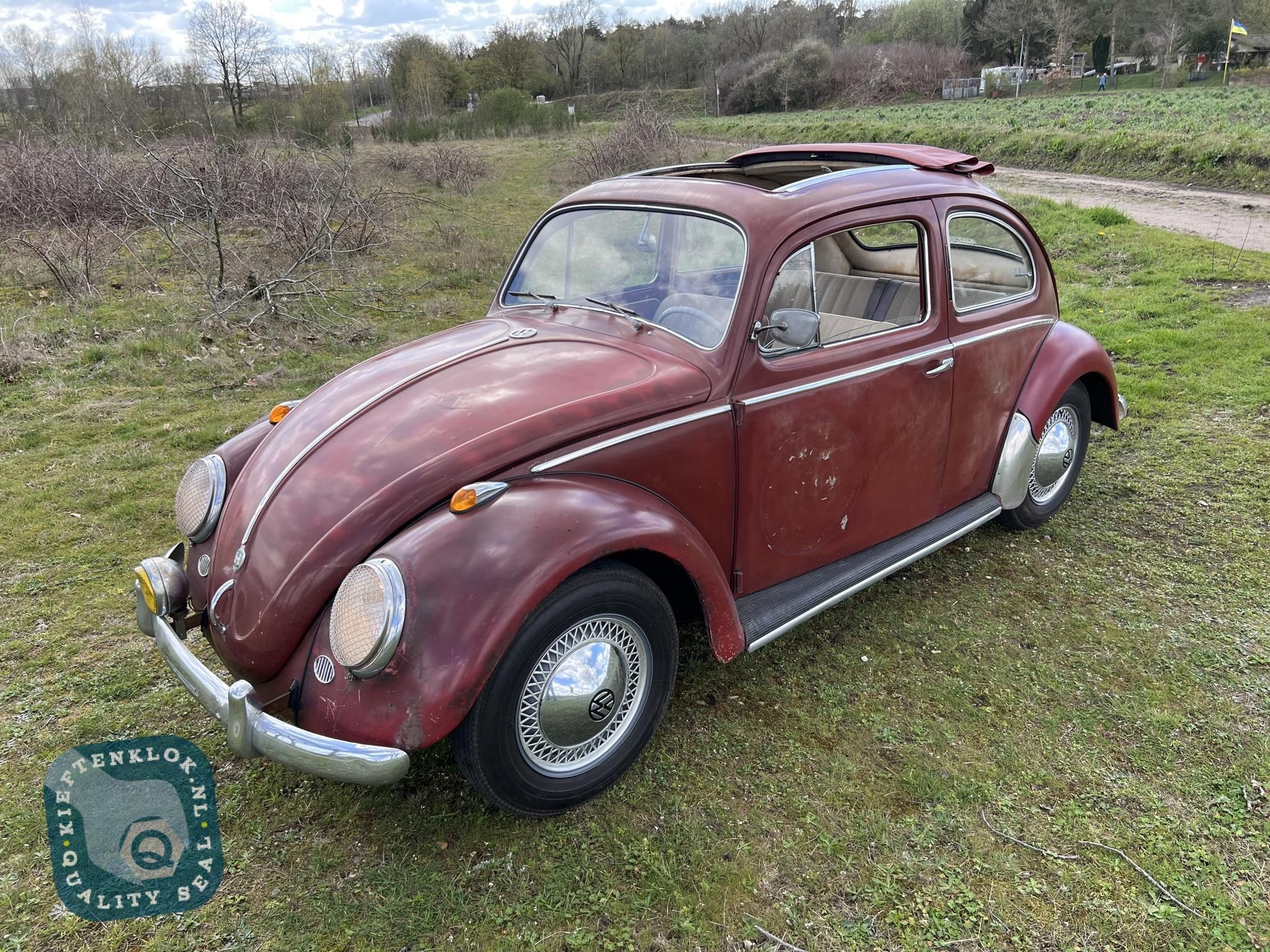 Volkswagen Kever (Beetle) Vouwdak 8