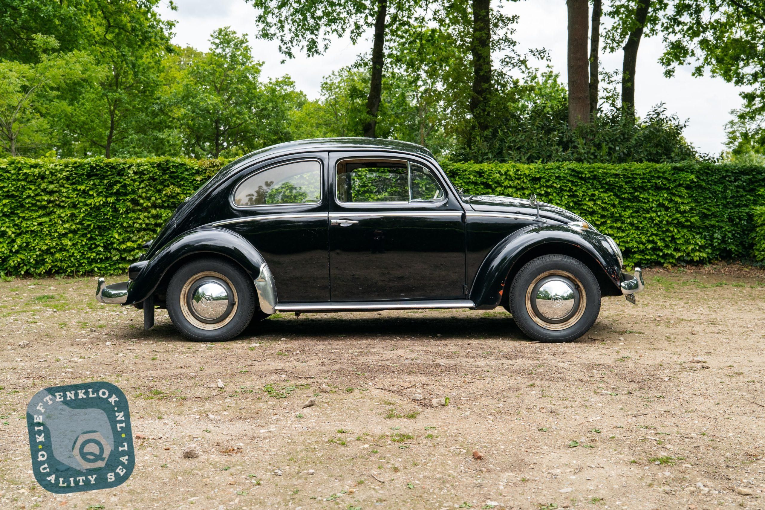 Volkswagen Kever (Beetle) 3