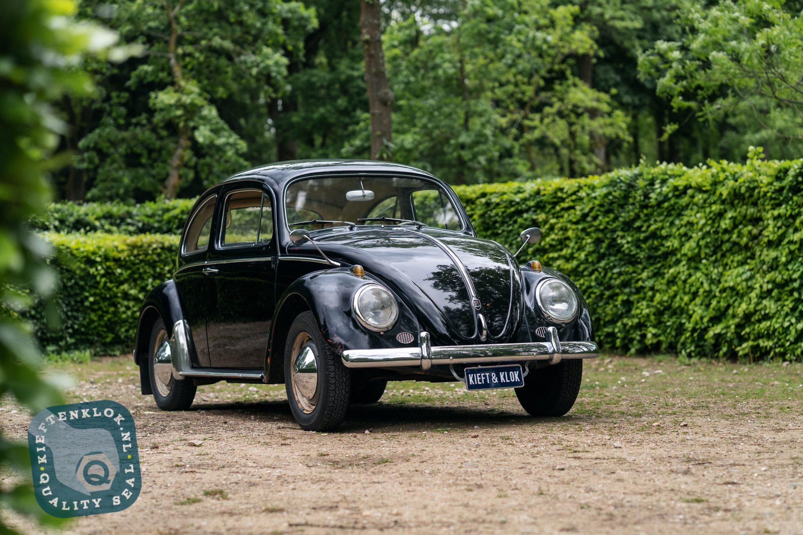 Volkswagen Kever (Beetle) 5
