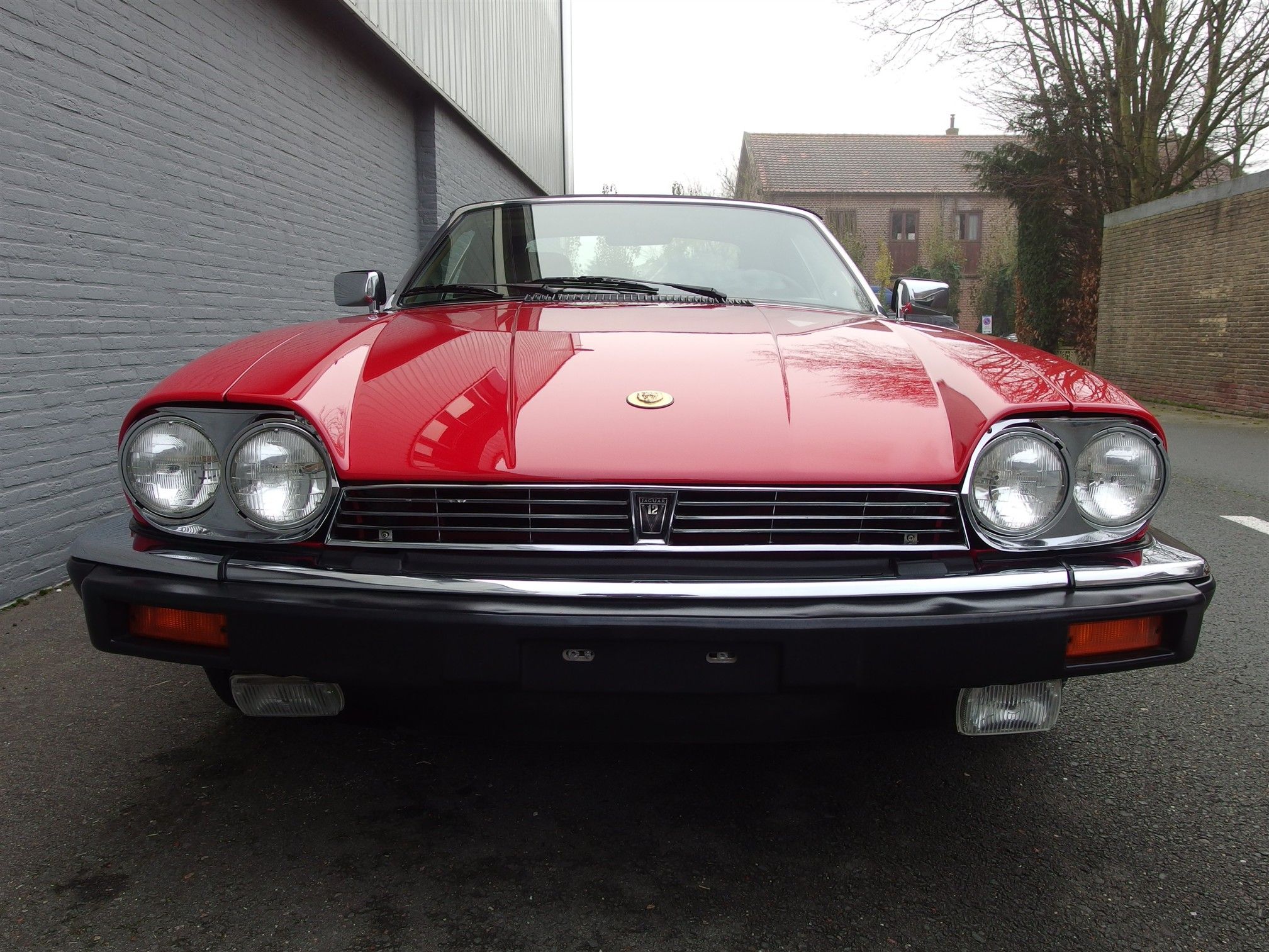 Jaguar XJS Convertible 8