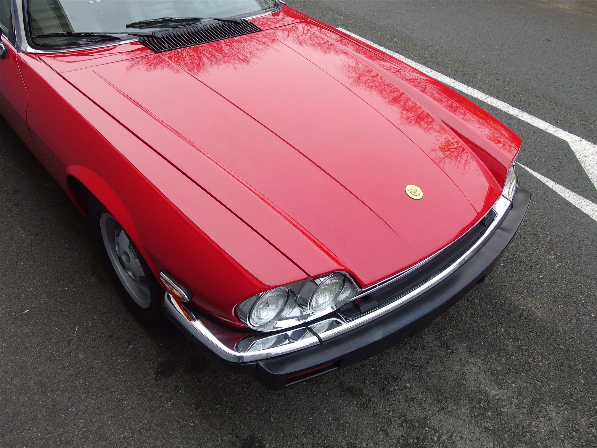 Jaguar XJS Convertible 13