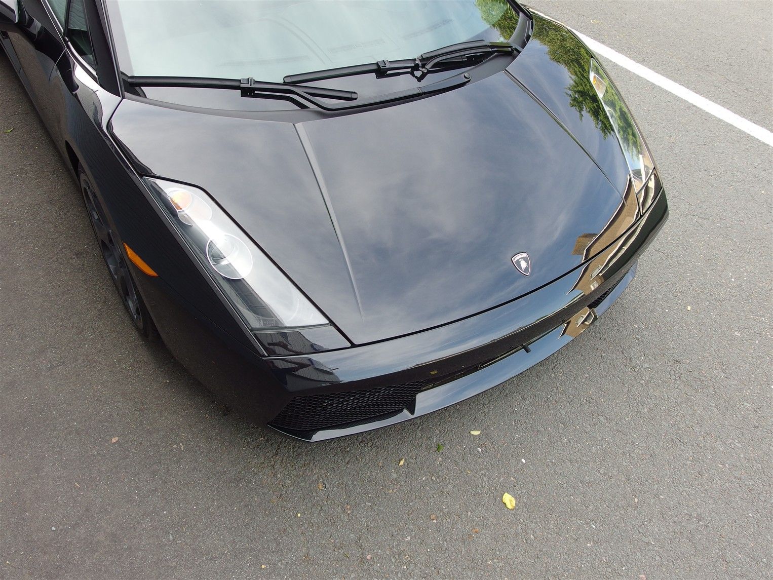 Lamborghini Gallardo Coupe 13