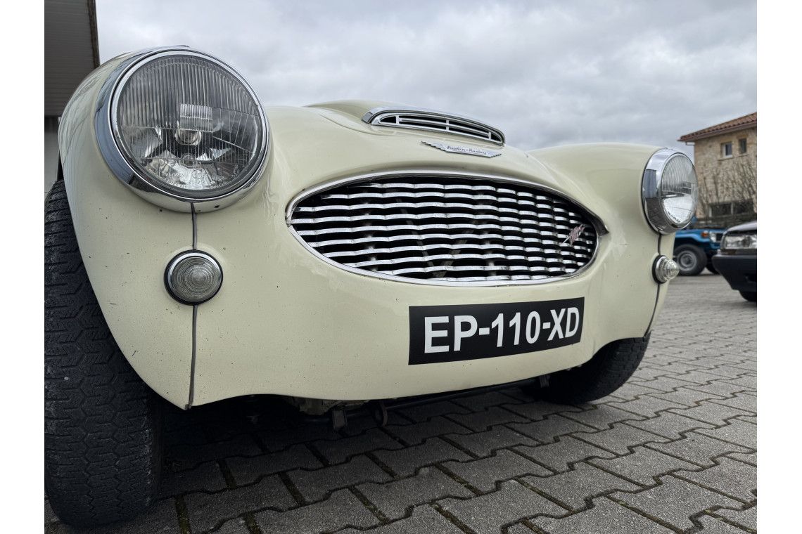 Healey 100/6 BN6 3