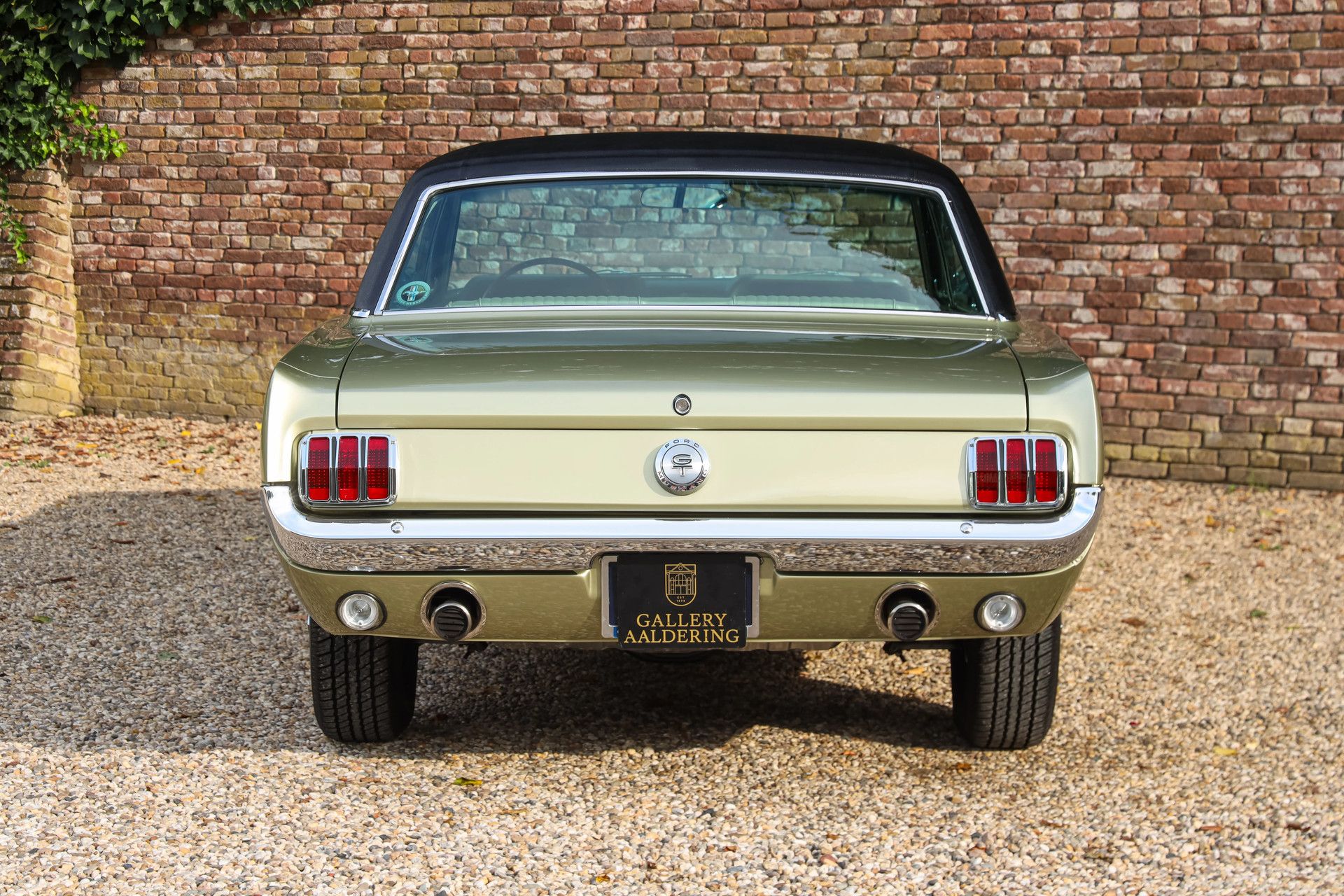 Ford Mustang GT A-Code The Dutch most award-winning 6