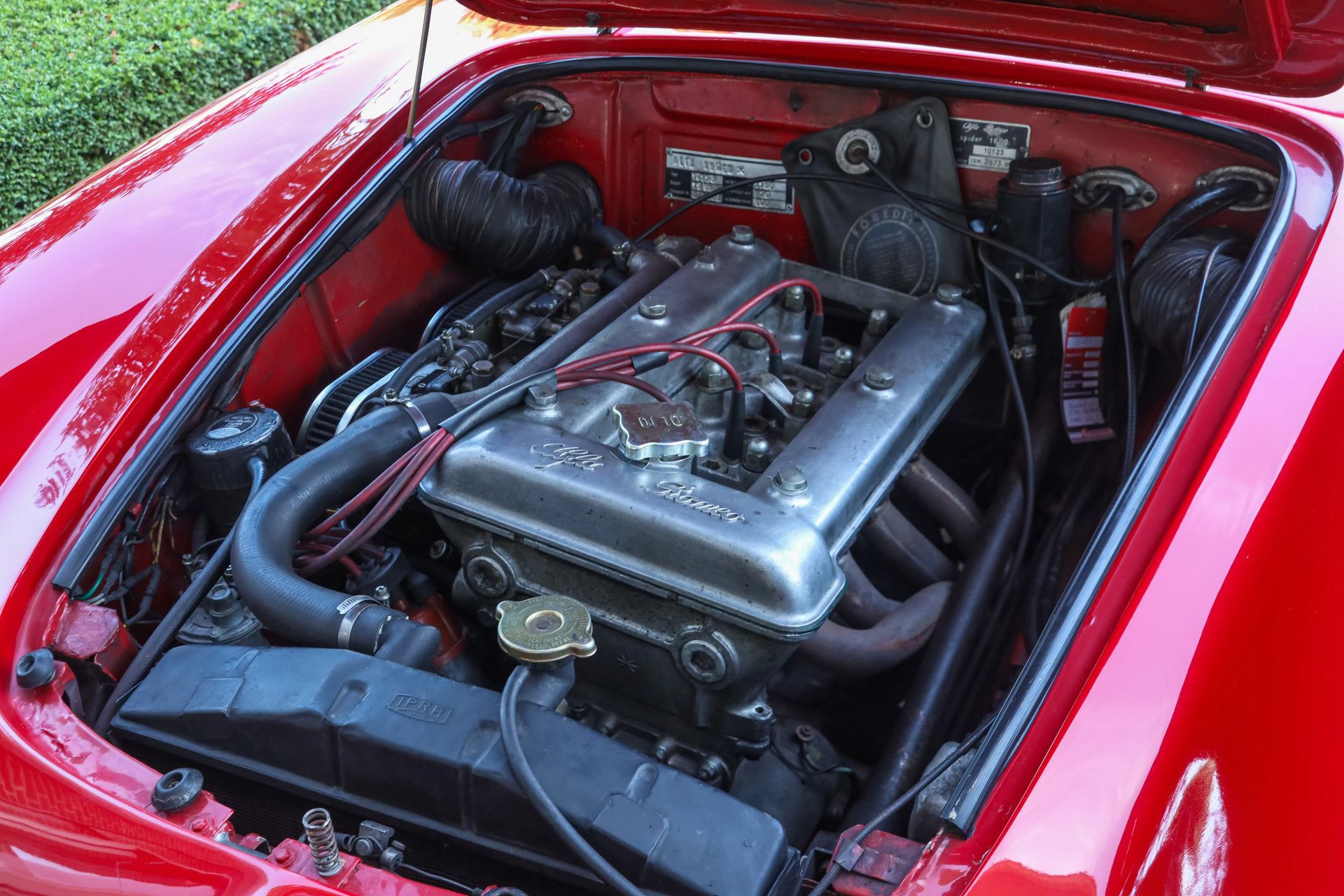 Alfa Romeo Giulia 1600 Spider Veloce "Older restoration" 4